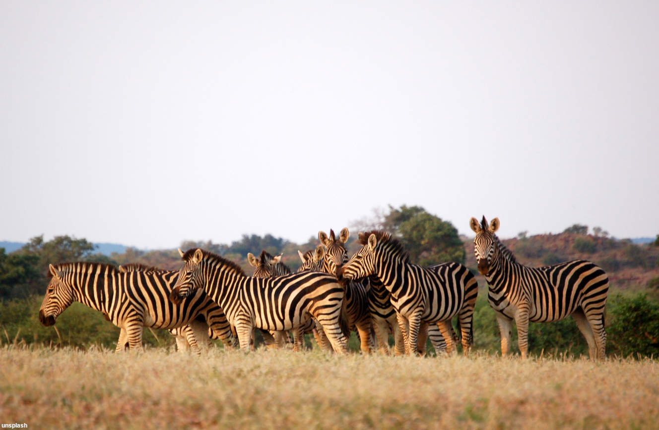Capetown to Vic Falls 1
